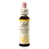 Bach Scleranthus eszencia 20ml Bach Scleranthus eszencia 20ml