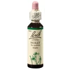Bach Holly eszencia 20ml Bach Holly eszencia 20ml