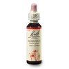 Bach Mimulus eszencia 20 ml Bach Mimulus eszencia 20 ml