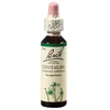 Bach-virág eszencia Nr. 4 - Kisezerjófű (Centaury) 20ml Bach-virág eszencia Nr. 4 - Kisezerjófű (Centaury) 20ml