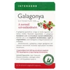 Interherb Napi1 Galagonya Extraktum 60db Interherb Napi1 Galagonya Extraktum 60db
