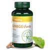 VK Ginkgo Biloba Forte 60db 120mg VK Ginkgo Biloba Forte 60db 120mg