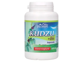 Flavin Kudzu+B6 100db Flavin Kudzu+B6 100db