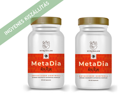 Myrobalan MetaDia anyagcsere kontroll 2x60db Myrobalan MetaDia anyagcsere kontroll 2x60db