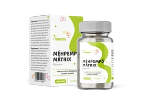 Netamin Méhpempő Mátrix kapszula + propolisz és fermentált ginzeng kapszula 60 db Netamin Méhpempő Mátrix kapszula + propolisz és fermentált ginzeng kapszula 60 db