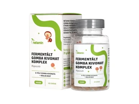 Netamin Fermentált Gomba Kivonat Komplex kapszula 60db Netamin Fermentált Gomba Kivonat Komplex kapszula 60db