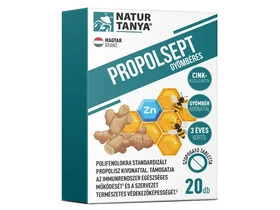 NT Propolsept Gyömbéres 20 db NT Propolsept Gyömbéres 20 db
