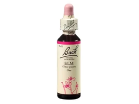 Bach Elm eszencia 20ml Bach Elm eszencia 20ml