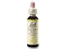 Bach Chestnut Bud eszencia 20ml Bach Chestnut Bud eszencia 20ml