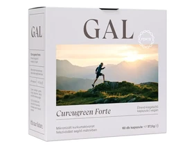 GAL Curcugreen Forte 60db 300mg GAL Curcugreen Forte 60db 300mg