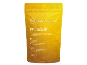 Pranagarden Pranabelly bélépítő Pro-prebiotikus víz italpor citrom és gyömbér 100g Pranagarden Pranabelly bélépítő Pro-prebiotikus víz italpor citrom és gyömbér 100g