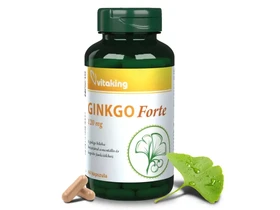 VK Ginkgo Biloba Forte 60db 120mg VK Ginkgo Biloba Forte 60db 120mg