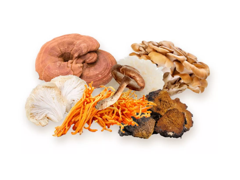 BioMenü BIO 7-GOMBA keverék kapszula 60 db