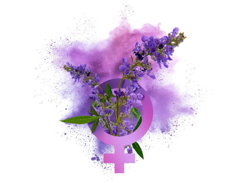 NT BARÁTCSERJE MAX - maximális mennyiségű barátcserje és bioaktív B6-vitamin 60db