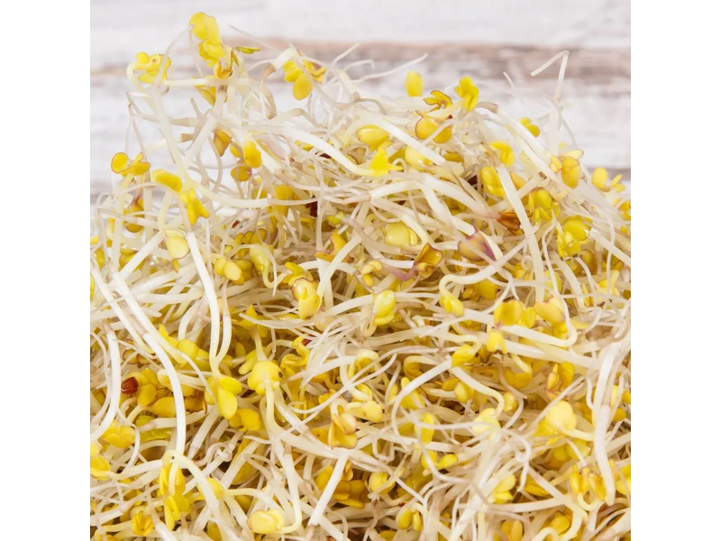 Legelde Brokkoli 150 g csíramag