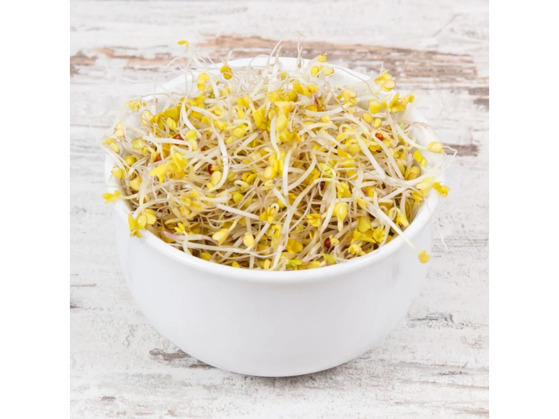 Legelde Brokkoli 150 g csíramag