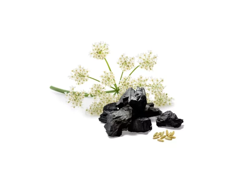 Caleido ÁNIZS + AKTÍV SZÉN kapszula 60 db