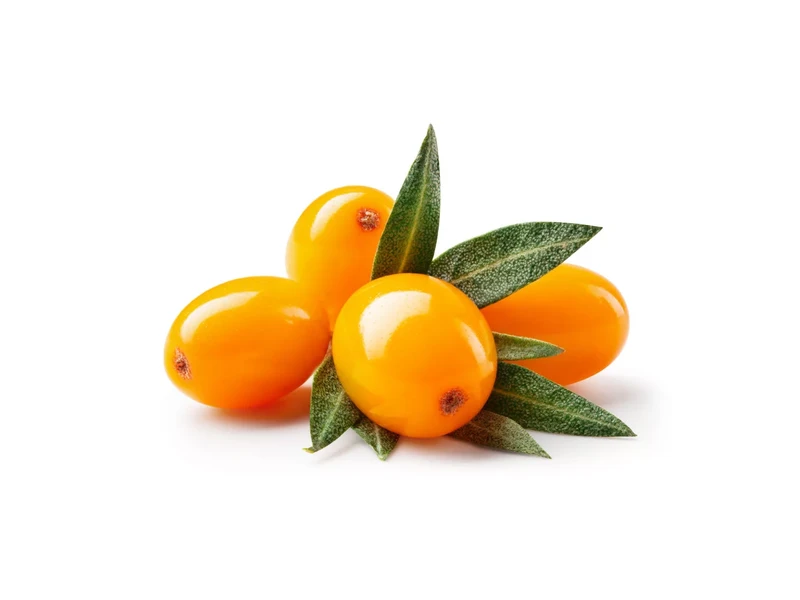 Caleido HOMOKTÖVISMAG-OLAJ gélkapszula 60 db