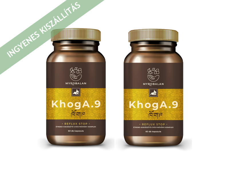 Myrobalan KhogA.9 gyomorégés, reflux elleni gyógynövény-komplex 2x60db