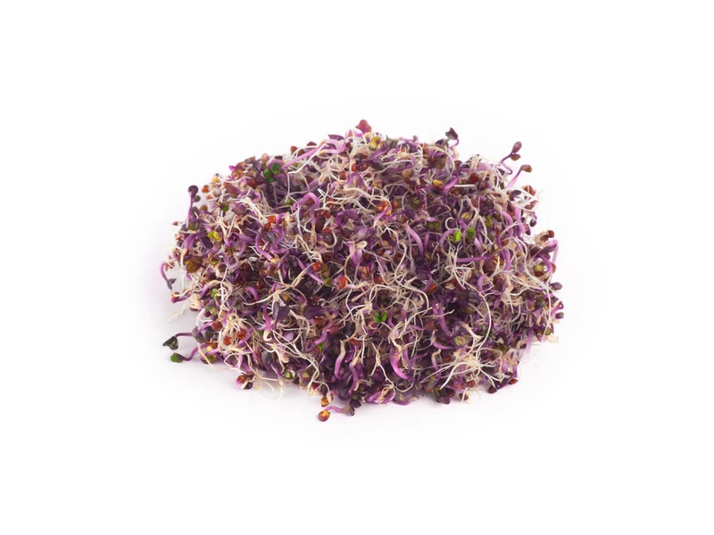 Legeldle Vöröskáposzta 100 g csíramag