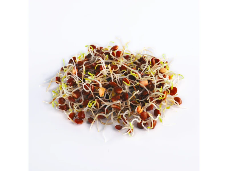 Legeldle Vöröslencse 200 g csíramag