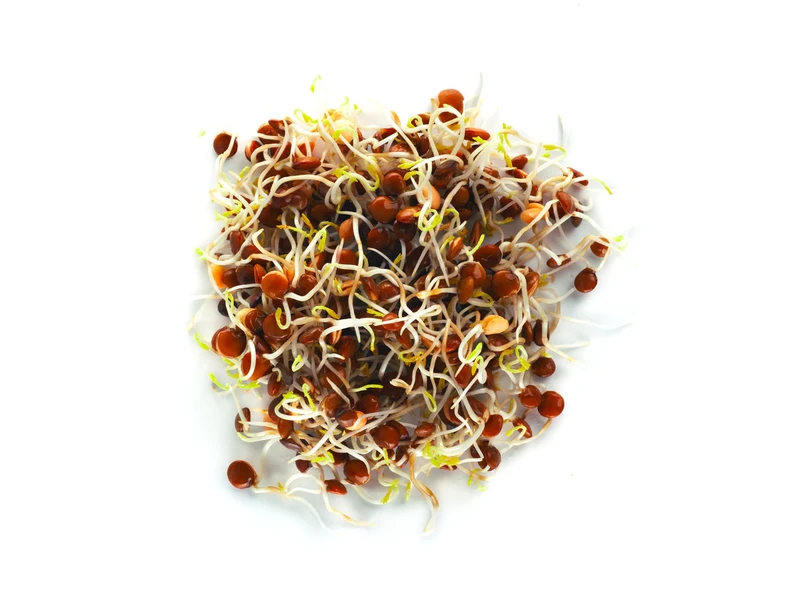 Legeldle Vöröslencse 200 g csíramag