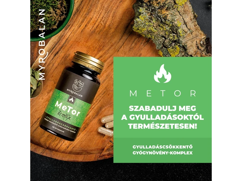 Myrobalan MeTor gyulladáscsökkentő gyógynövény-komplex 2x60db