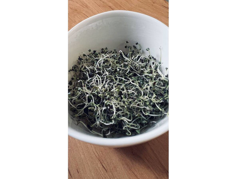 Mizuna-vörös csíráztatásra 200 g