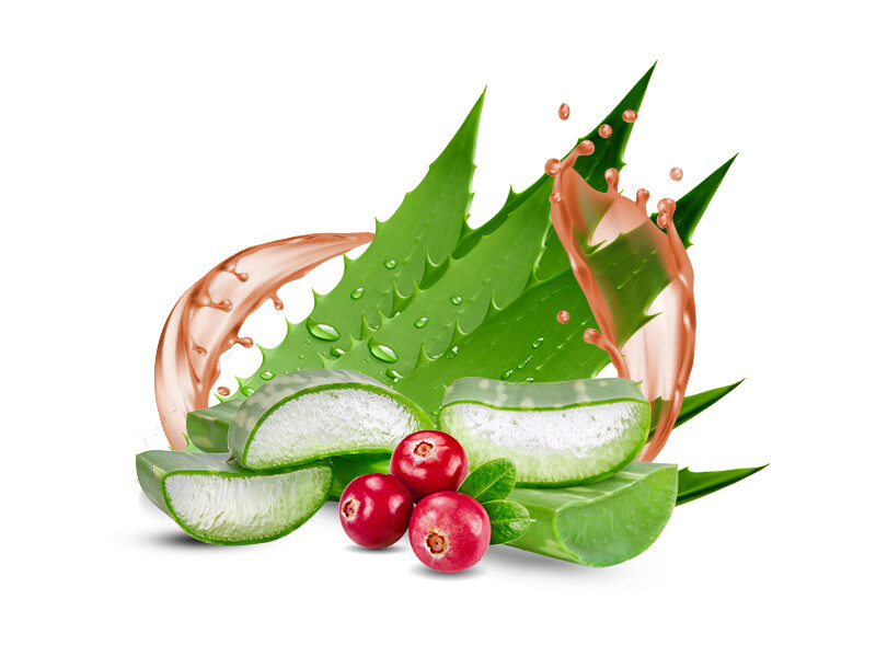 NT Aloevera áfonyás 1L