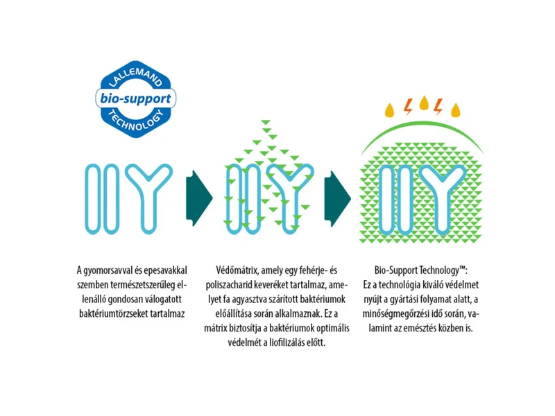 NT P-BIOTIKUM baktériumtörzsek (CEREBIOME®) + B6-vitamin 30db