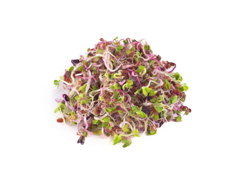 Legelde Retek Fusion 150 g csíramagkeverék