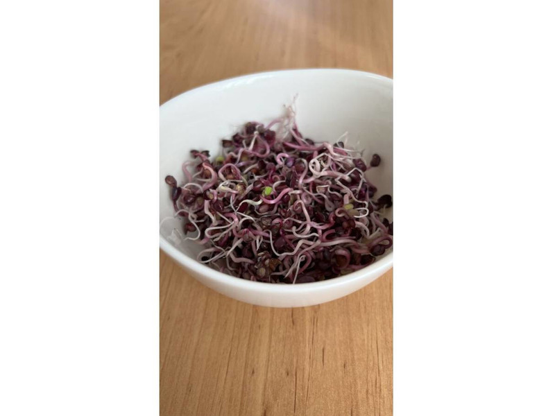 Retekmag fekete csíráztatásra 200 g