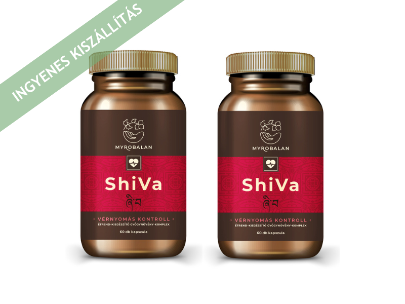 Myrobalan ShiVa vérnyomáscsökkentő gyógynövény-komplex 2x60db