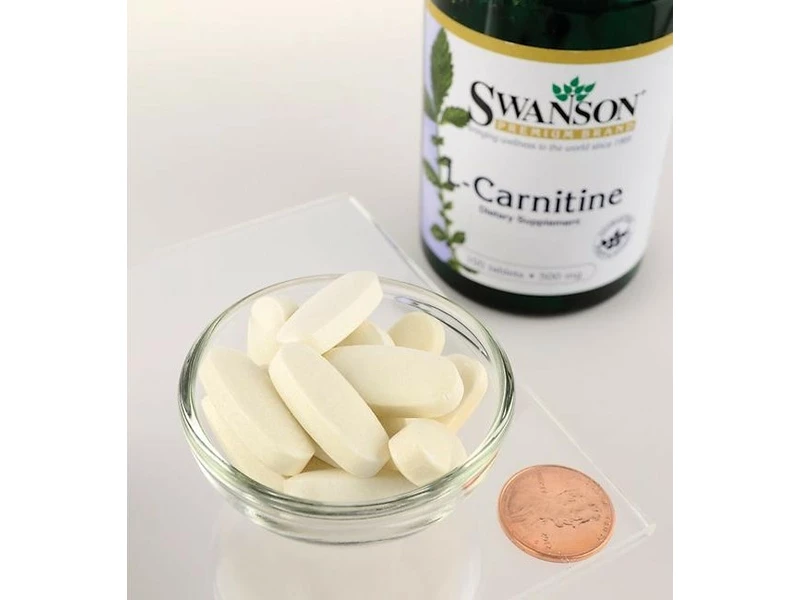 SW L-Carnitin 100db
