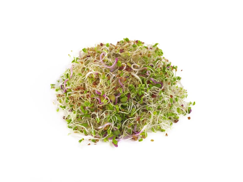 Legelde Szendvics Mix 150 g csíramagkeverék