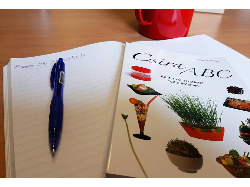 Csíra ABC könyv 1db