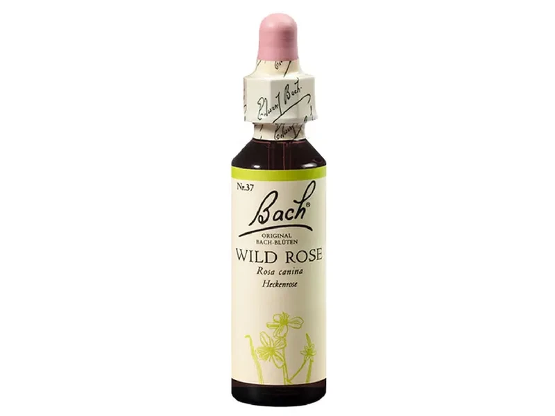 Bach Wild Rose eszencia 20 ml