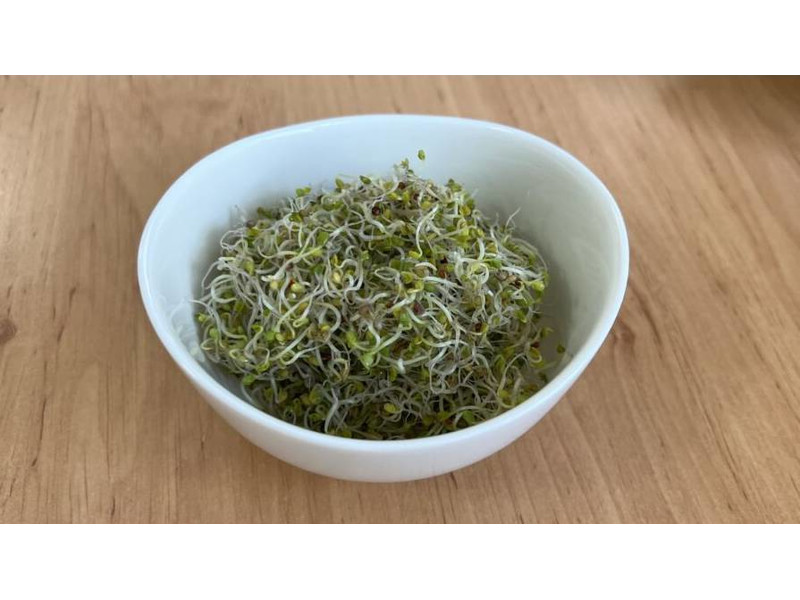 Vajrépa csíráztatásra 200 g