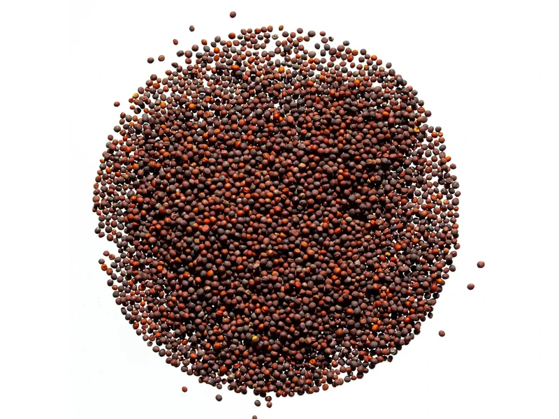 Legelde Vajrépa 50 g mikrozöld mag