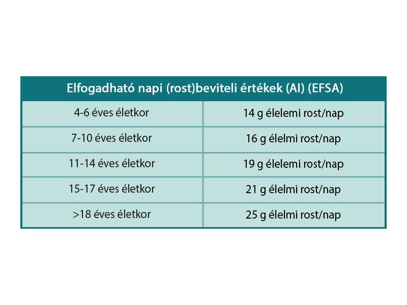 NT Vegán bélradír plus 480ml