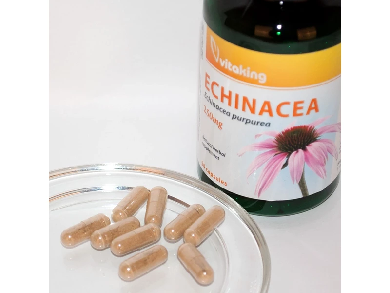 VK Echinacea Bíbor kasvirág kapszula 90db