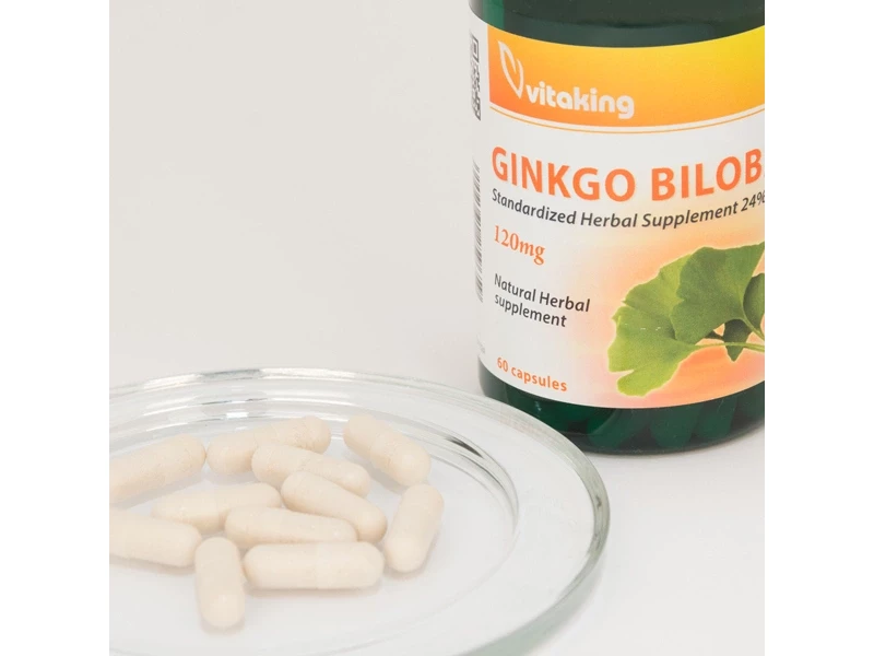 VK Ginkgo Biloba 60db 120mg