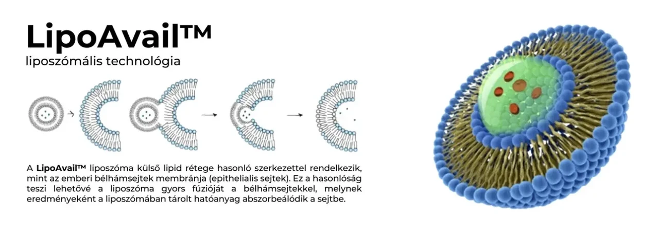 Paleolit LIPOsomal Apigenin kapszula