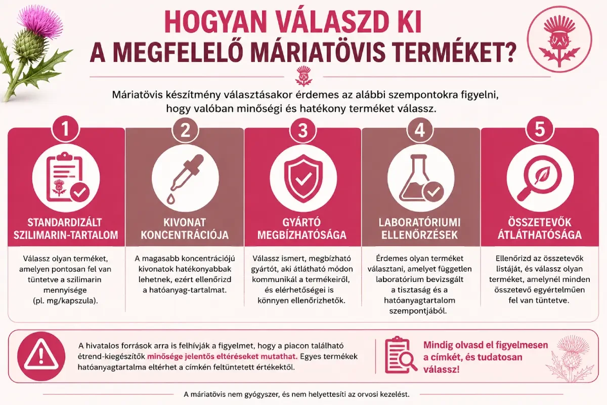 Képleírás: infografika, mely bemutatja a legfőbb pontokat máriatövis termék kiválasztásakor (standardizált tartalom, magas hatóanyag-koncentráció, megbízható gyártó, laboratóriumi ellenőrzések, átlátható összetétel).