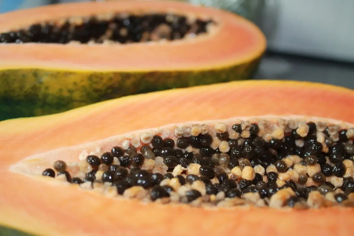 Natur Tanya - fermentált papaya