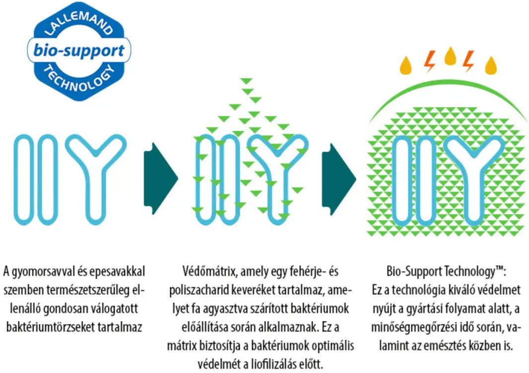Natur Tanya Pszichobiotikum probiotikum gyártástechnológia