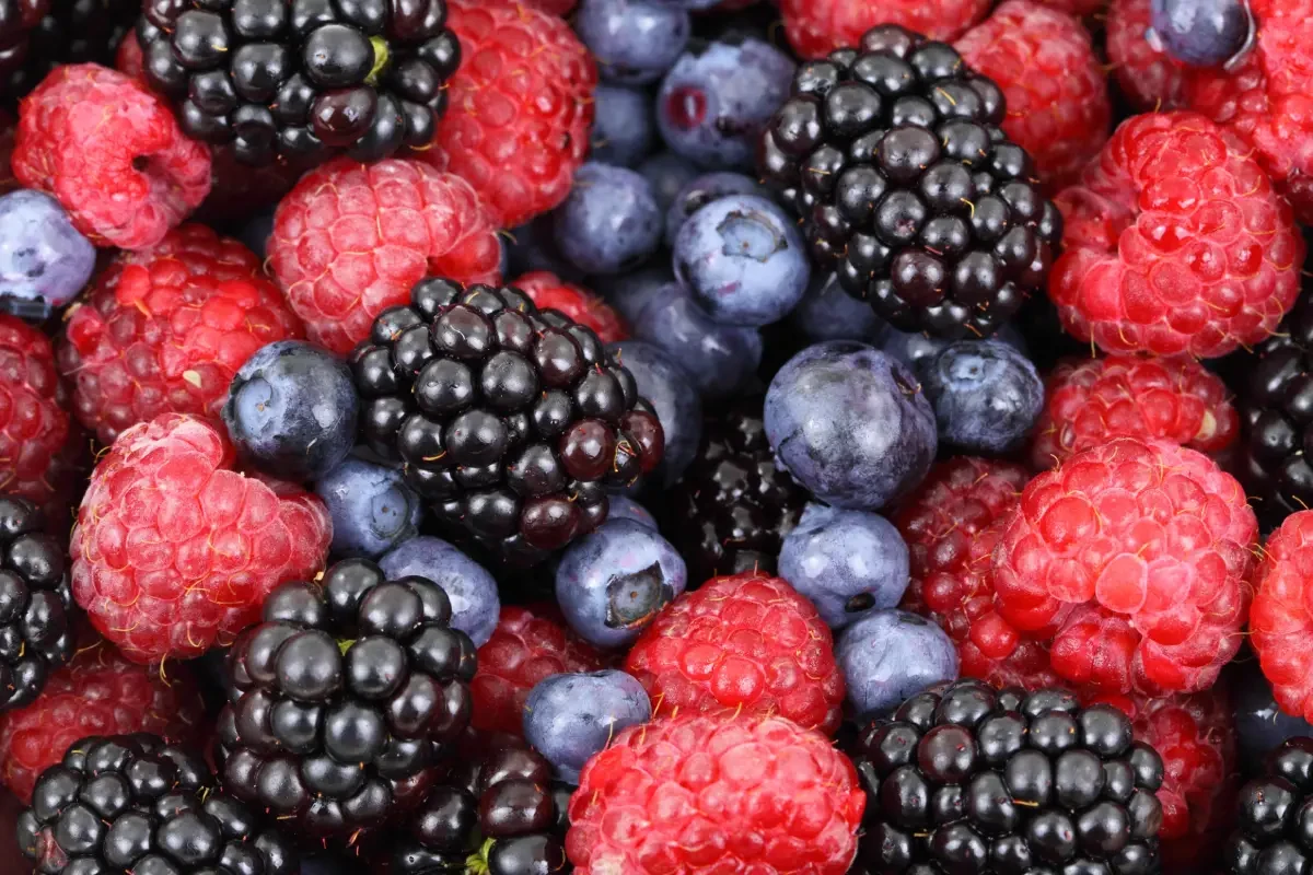 Emóció 7.84 probiotikumok