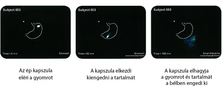 DAO enzim hatásmechanizmus Natur Tanya