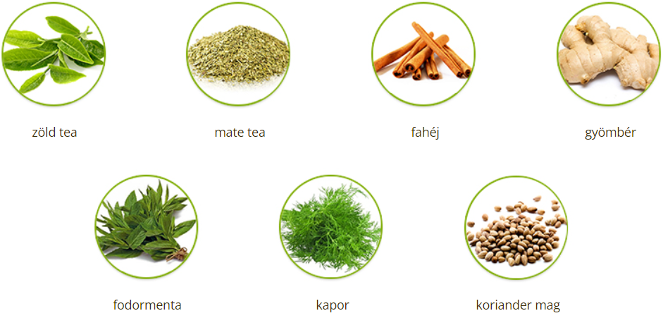 UKKO Fogyasztó tea összetevők UKKO Fogyasztó tea összetevők