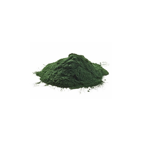 chlorella chlorella